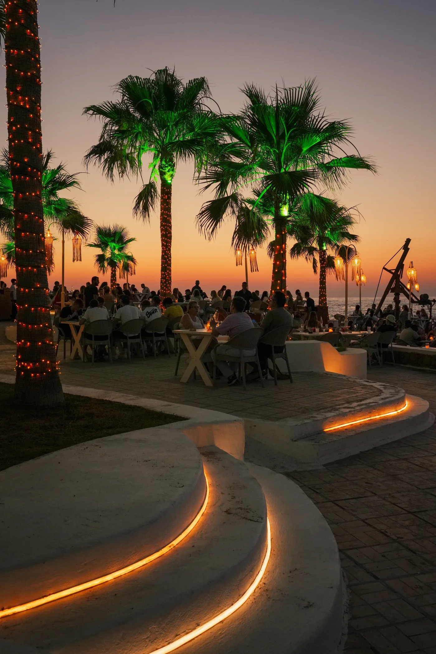 Palm trees beside the sea at sunset